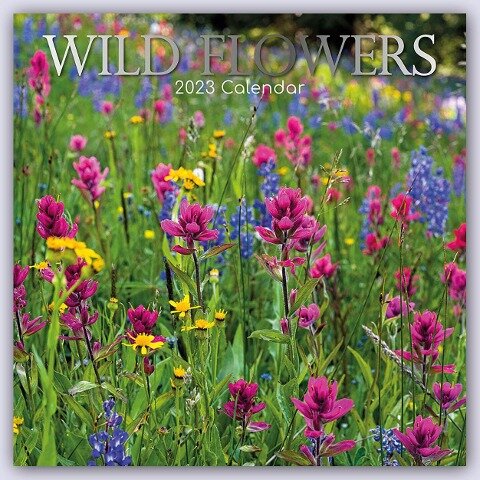 Wild Flowers - Wildblumen 2023 - 16-Monatskalender - 