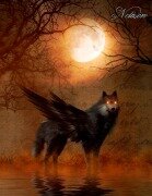Cover-Bild zum Titel 'Fantasy Notizbuch: Schattenwolf - weiße Seiten mit Eckmotiv' von 'Samuriel Sternenfeuer'