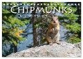 Chipmunks Streifenhörnchen (Tischkalender 2024 DIN A5 quer), CALVENDO Monatskalender - Robert Styppa
