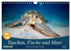 Tauchen, Fische und Meer (Wandkalender 2025 DIN A4 quer), CALVENDO Monatskalender - Sven Gruse