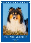 Cover-Bild zum Titel 'Traumhund Collie - Liebe auf vier Pfoten (Tischkalender 2026 DIN A5 hoch), CALVENDO Monatskalender' von 'Sigrid Starick'