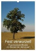 Fest verwurzelt - Faszinierende Bäume im Wandel der Jahreszeit (Wandkalender 2024 DIN A3 hoch), CALVENDO Monatskalender - Brigitte Deus-Neumann