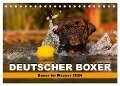 Deutscher Boxer - Boxer im Wasser 2024 (Tischkalender 2024 DIN A5 quer), CALVENDO Monatskalender - Kerstin Mielke