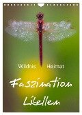 Faszination Libellen - Wildnis Heimat (Wandkalender 2025 DIN A4 hoch), CALVENDO Monatskalender - Ferry Böhme
