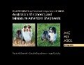 The DEFINITIVE Breed Standard Comparison in PHOTOS for Australian Shepherds and Miniature American Shepherds - Paula Jean McDermid