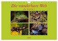 Die wunderbare Welt der Amphibien (Wandkalender 2024 DIN A4 quer), CALVENDO Monatskalender - Winfried Erlwein