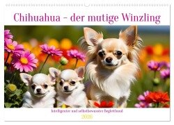 Chihuahua - der mutige Winzling (Wandkalender 2026 DIN A2 quer), CALVENDO Monatskalender - Claudia Kleemann