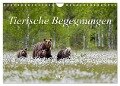 Tierische Begegnungen (Wandkalender 2024 DIN A4 quer), CALVENDO Monatskalender - Daniela Beyer (Moqui)