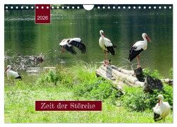Zeit der Störche (Wandkalender 2026 DIN A4 quer), CALVENDO Monatskalender - Angelika Keller