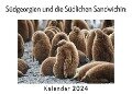 Cover-Bild zum Titel 'Südgeorgien und die Südlichen Sandwichinseln (Wandkalender 2024, Kalender DIN A4 quer, Monatskalender im Querformat mit Kalendarium, Das perfekte Geschenk)' von 'Anna Müller'