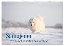 Samojeden - Liebenswerte Fellkugeln (Wandkalender 2025 DIN A2 quer), CALVENDO Monatskalender - Annett Mirsberger
