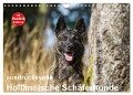 ausdrucksvolle Holländische Schäferhunde (Wandkalender 2024 DIN A4 quer), CALVENDO Monatskalender - Fotodesign Verena Scholze