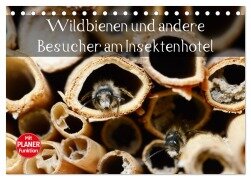 Wildbienen und andere Besucher am Insektenhotel (Tischkalender 2025 DIN A5 quer), CALVENDO Monatskalender - Anja Frost