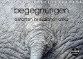 begegnungen - elefanten im südlichen afrika (Tischkalender immerwährend DIN A5 quer) - K. A. Rsiemer