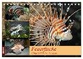 Feuerfische - Giftige Schönheiten der Meere (Tischkalender 2024 DIN A5 quer), CALVENDO Monatskalender - B. Mielewczyk