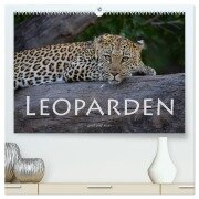 Leoparden - groß und klein (hochwertiger Premium Wandkalender 2026 DIN A2 quer), Kunstdruck in Hochglanz - Robert Styppa