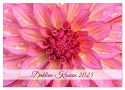 Dahlien-Kronen (Wandkalender 2025 DIN A2 quer), CALVENDO Monatskalender - Rainer Plett