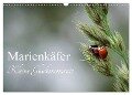 Marienkäfer - kleine Glücksmomente (Wandkalender 2025 DIN A3 quer), CALVENDO Monatskalender - Karin Dederichs