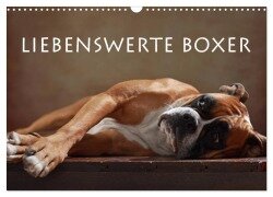 Liebenswerte Boxer (Wandkalender 2026 DIN A3 quer), CALVENDO Monatskalender - Jana Behr