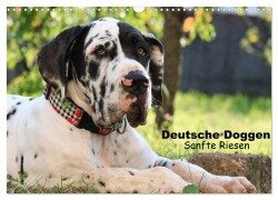 Deutsche Doggen - Sanfte Riesen (Wandkalender 2026 DIN A3 quer), CALVENDO Monatskalender - Marion Reiß - Seibert