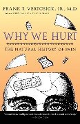Why We Hurt - Frank T. Jr. Vertosick