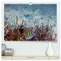 Unterwasserwelt der Malediven III (hochwertiger Premium Wandkalender 2024 DIN A2 quer), Kunstdruck in Hochglanz - Clave Rodriguez Photography