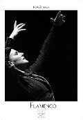 Flamenco schwarz-weiss 2025 - H. W. Schawe