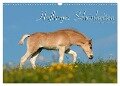 Haflinger Schönheiten (Wandkalender 2024 DIN A3 quer), CALVENDO Monatskalender - Ramona Dünisch - Www. Ramona-Duenisch. De
