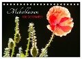 Mohnblumen - rote Schönheiten (Tischkalender 2024 DIN A5 quer), CALVENDO Monatskalender - Meike Bölts