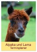 Alpaka und Lama Terminplaner (Wandkalender 2024 DIN A2 hoch), CALVENDO Monatskalender - Kattobello Kattobello