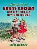 Bunny Brown And His Sister Sue In The Big Woods - Laura Lee Hope