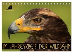 Im Jahreskreis der Wildbahn (Tischkalender 2025 DIN A5 quer), CALVENDO Monatskalender - Dirk Stamm