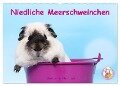 Niedliche Meerschweinchen (Wandkalender 2025 DIN A2 quer), CALVENDO Monatskalender - Jeanette Hutfluss