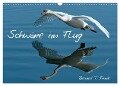 Schwäne im Flug (Wandkalender 2024 DIN A3 quer), CALVENDO Monatskalender - Roland T. Frank