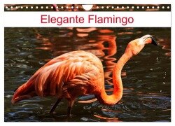 Elegante Flamingo (Wandkalender 2026 DIN A4 quer), CALVENDO Monatskalender - Kattobello Kattobello