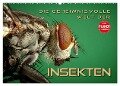 Die geheimnisvolle Welt der Insekten (Wandkalender 2024 DIN A2 quer), CALVENDO Monatskalender - Renate Bleicher