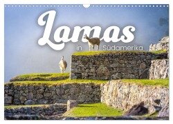 Lamas in Südamerika (Wandkalender 2025 DIN A3 quer), CALVENDO Monatskalender - Happy Monkey