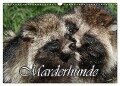 Marderhunde (Wandkalender 2024 DIN A3 quer), CALVENDO Monatskalender - Antje Lindert-Rottke
