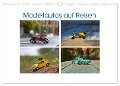 Modellautos auf Reisen (Wandkalender 2024 DIN A3 quer), CALVENDO Monatskalender - Paul Michalzik