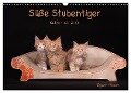 Süße Stubentiger - Katzenkinder (Wandkalender 2024 DIN A3 quer), CALVENDO Monatskalender - Regine Heuser