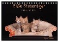Süße Stubentiger - Katzenkinder (Tischkalender 2024 DIN A5 quer), CALVENDO Monatskalender - Regine Heuser