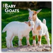 Cover-Bild zum Titel 'Baby Goats - Ziegenbabys 2026 - 16-Monatskalender' von 'Browntrout Publishers'
