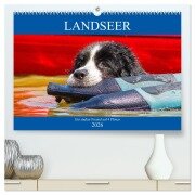 Landseer - Ein starker Freund auf 4 Pfoten (hochwertiger Premium Wandkalender 2026 DIN A2 quer), Kunstdruck in Hochglanz - Sigrid Starick