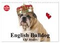 English Bulldog XXL Models (Wandkalender 2024 DIN A4 quer), CALVENDO Monatskalender - Elisabeth Stanzer