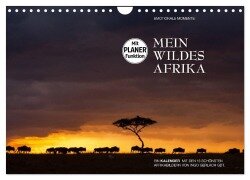 Emotionale Momente: Mein wildes Afrika (Wandkalender 2026 DIN A4 quer), CALVENDO Monatskalender - Ingo Gerlach GDT