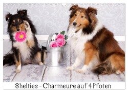 Shelties : Charmeure auf 4 Pfoten (Wandkalender 2025 DIN A3 quer), CALVENDO Monatskalender - Marion Reiß - Seibert