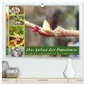 Das Leben der Haselnuss (hochwertiger Premium Wandkalender 2025 DIN A2 quer), Kunstdruck in Hochglanz - Michaela Schimmack