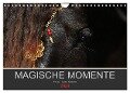 Magische Momente - Pferde Horses Caballos (Wandkalender 2024 DIN A4 quer), CALVENDO Monatskalender - Petra Eckerl Tierfotografie Www. Petraeckerl. Com