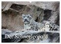 Der Schneeleopard (Wandkalender 2024 DIN A3 quer), CALVENDO Monatskalender - Arno Klatt