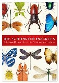 Die schönsten Insekten (Wandkalender 2025 DIN A2 hoch), CALVENDO Monatskalender - Wildlife Art Print